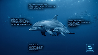 Guia de identificación